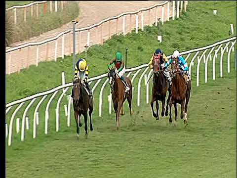 Galoppo 15/03/2018 - 1ª corsa