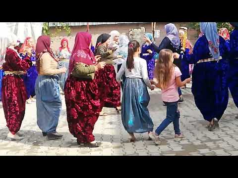 Müzisyen Özlem Ökten Karahüyük Tepeköy mahallesinden Muitin & Eminehatun Başeğmez çiftinin düğünü