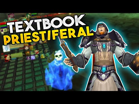 Avoid These Mistakes: Disc Priest/Feral Druid vs Disc Priest/Hunter