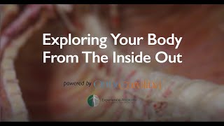Season 1: Exploring the Body from the Inside Out