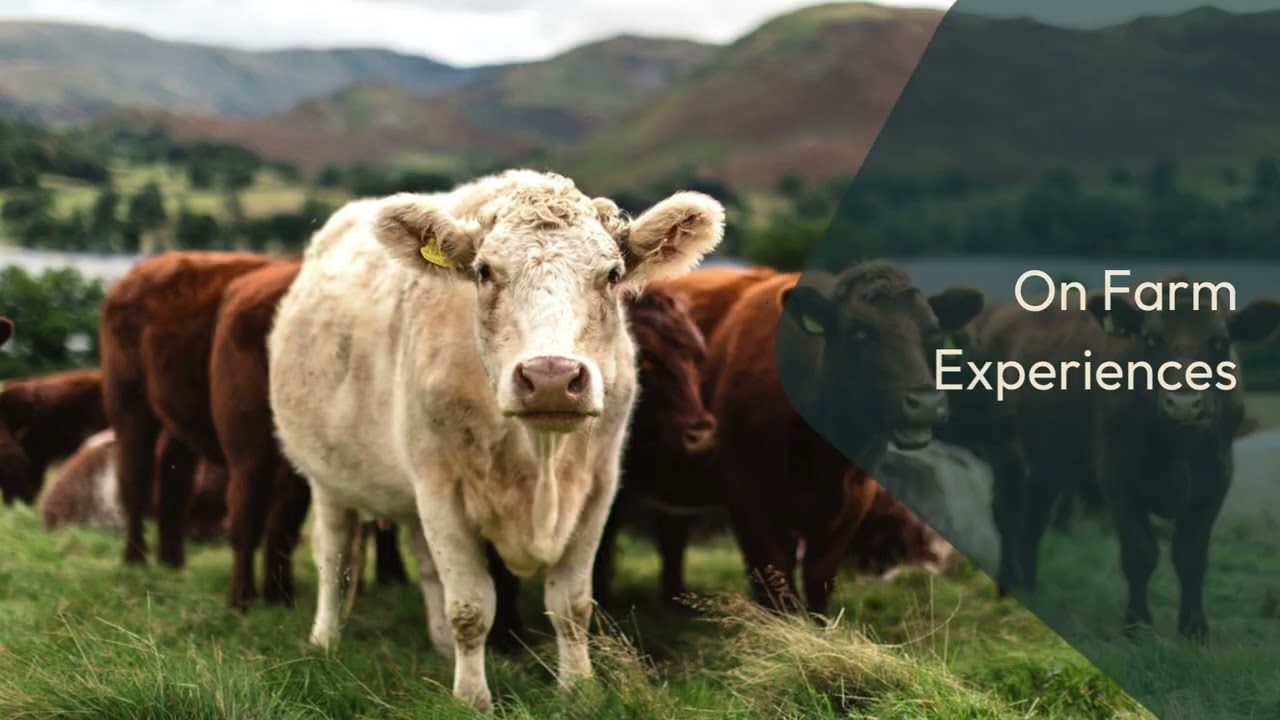 Roots to Regeneration Video Ad Long