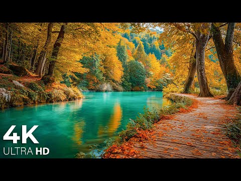 Enchanting Autumn Forests with Beautiful Piano Music🍁4K Autumn Ambience & Fall Foliage