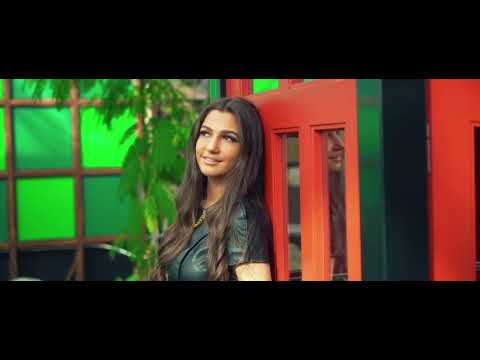 Donny Ponsen   Leonora Officiële Videoclip