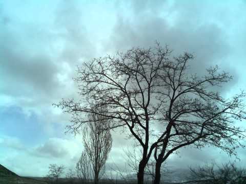 timelapse for 2015-03-01