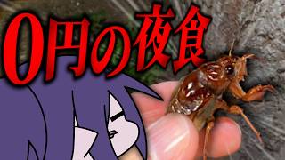 【無料】夏限定の食べても太らない最強の夜食教えます