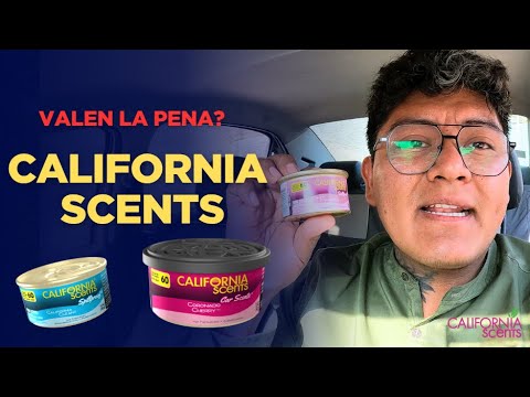 Best Air Fresheners for Your Car / California Scents