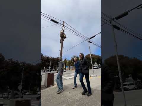 cops called on pole jester