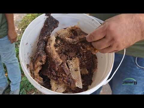 Fortalecimento da Agricultura em Arcoverde-PE. Senar e Secretaria de Agricultura, 25/11/2025.