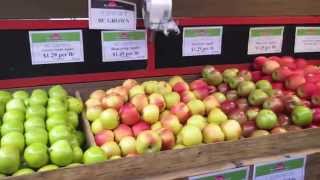 Red Barn Market at  Mattick's Farm Video Tour