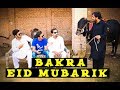 Bakra Eid mubarik 2018 By Peshori Vines Official