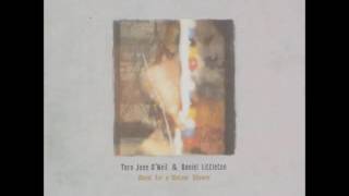 Tara Jane O'Neil & Daniel Littleton - Music For A Meteor Shower