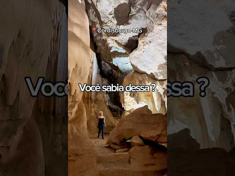 VOCÊ SABIA QUE FÓSSEIS GIGANTES JA FORAM ENCONTRADOS AQUI EM MINAS GERAIS? 🦴😱 em Cordisburgo- Mg