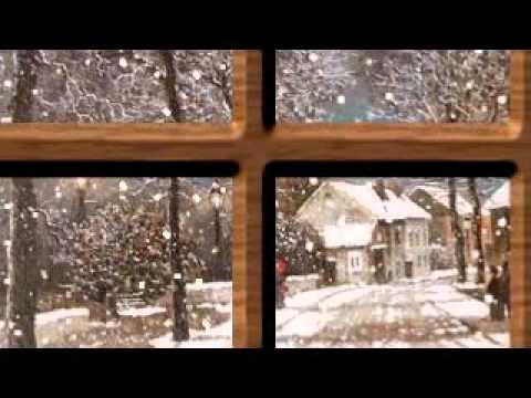 Crenguta verde de brad