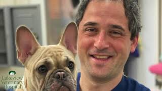 A laparoscopic spay; Charley Rae's story