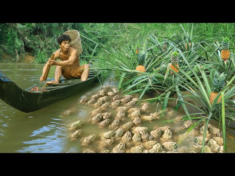 Strong man , Pineapple and frog