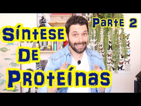 Síntese Proteica (Parte 2) - Tradução | Prof. Samuel Cunha