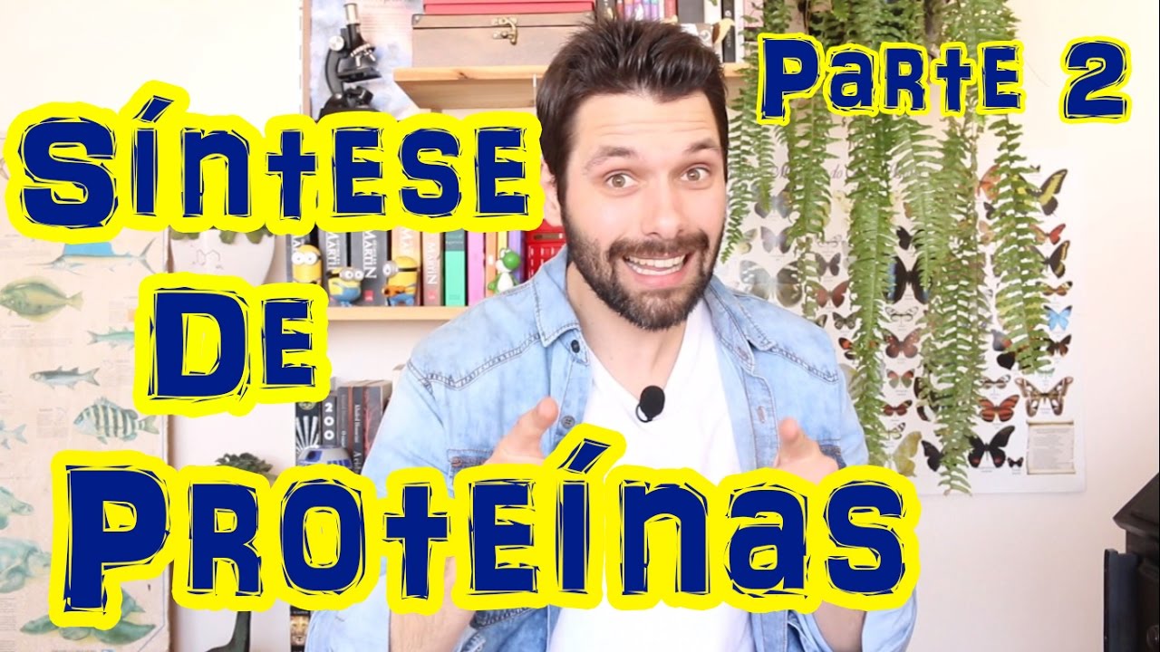 Síntese Proteica (Parte 2) - Tradução | Prof. Samuel Cunha