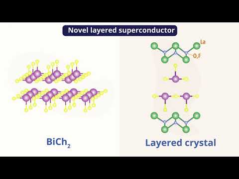 Two-Fold-Symmetric Magnetoresistance in Single Crystals of Tetragonal BiCh2-Based Superconductor