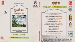 Download lagu Sunehre Pal !! Golden Collection ~ Vol.3 !! Debashish Dasgupta & Anuradha Paudwal@shyamalbasfore mp3