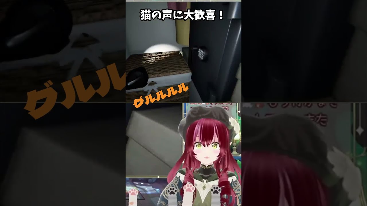 新ウィローで猫の声に大歓喜！！【#shorts #ぶいかっと #双葉のへっぽこちゃんねる】