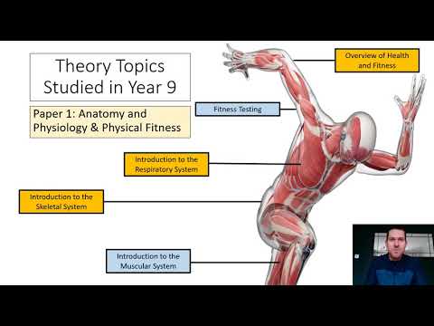 Should I pick GCSE PE as a GCSE option?