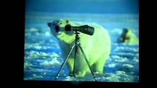 preview picture of video 'The Last Polar Bear: Facing the Truth of a Warming World'