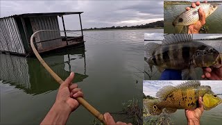Que briga foi essa! Na varinha de mão é doideira Tucunaré gigante piau monstro no Rio turvo 