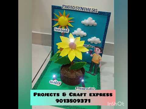 PHOTOSYNTHESIS MODEL