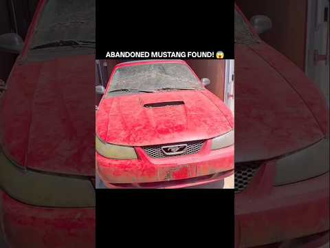 FOUND A FORGOTTEN FORD MUSTANG ON A FARM! #shorts