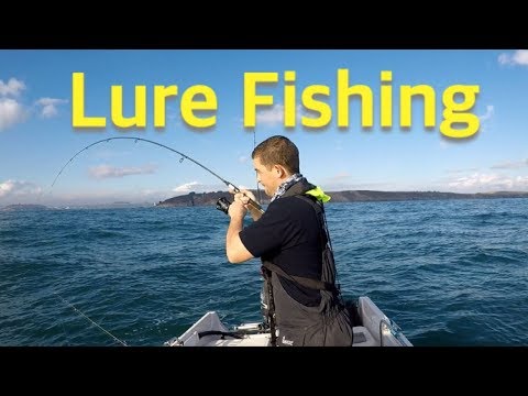 Lure Fishing For Beginners - Sea Fishing with Lures Tips and Techniques | The Fish Locker