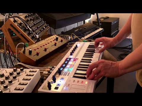 My Solina has arrived!