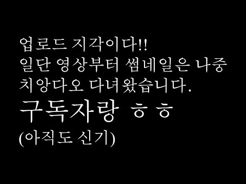 최고의 여행지 탐험과 비법 – 세계일주 블로그