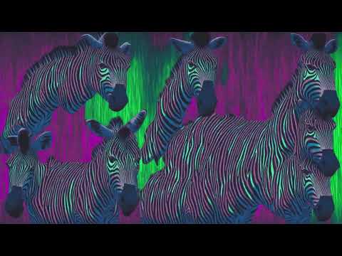 Long Live Party Rock  (Sak Noel Remix) deforum