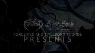 Decapitate Hatred - Nocturnal Carnivore (track #5 from Birth of Abomination full length)