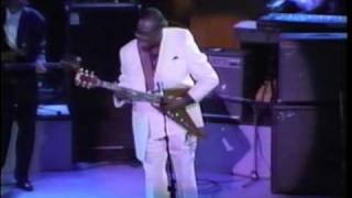 Gary Moore And Albert KIng