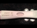 Live pregnancy test 13 DPO 