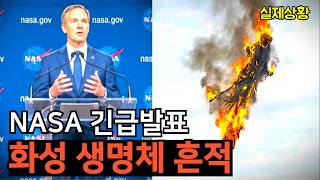 이번에 인간은 진짜 멸종할 지도 모른다