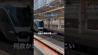 東京駅  サフィール踊り子  車体全体が油っこいやつ