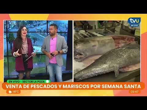 Mariscos toman protagonismo en Talcahuano de cara a Semana Santa