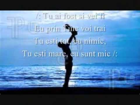 NU POT SA INTELEG - Original - [Lyrics] Muzica si versurile FLORIN MODOG