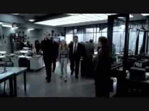 Spiders - End Montage