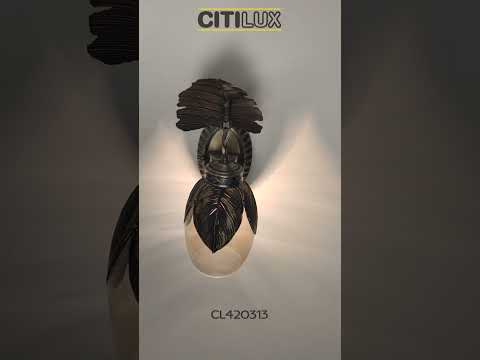 Миниатюра изображения товара Бра Citilux Гаруда CL420313