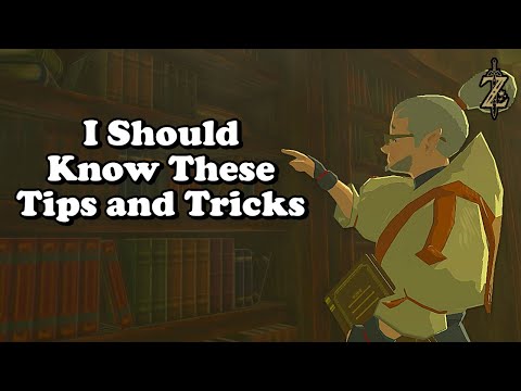 145 Tips & Tricks I Wish I Knew  for Zelda Breath of The Wild | BotW