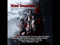 Within Temptation - The Swan Song x2 [Original ...