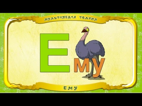 Мультіпедія тварин. Літера Е - Ему
