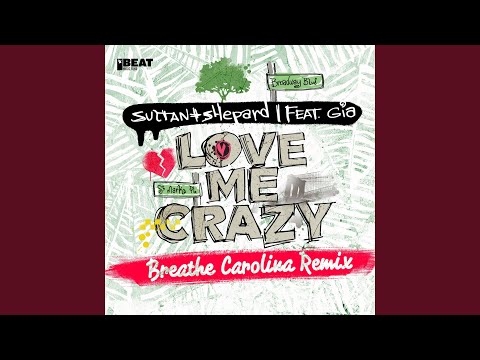 Love Me Crazy (Breathe Carolina Remix)
