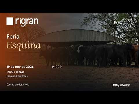 Feria Esquina | Esquina, Corrientes