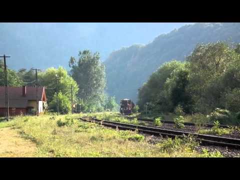 Trenuri Statiunea Bulz