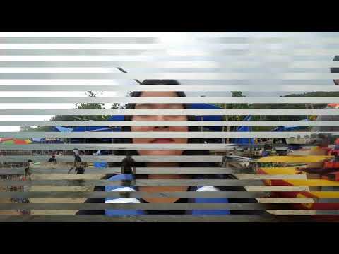 To The Wolves - Aldenmark Niklasson