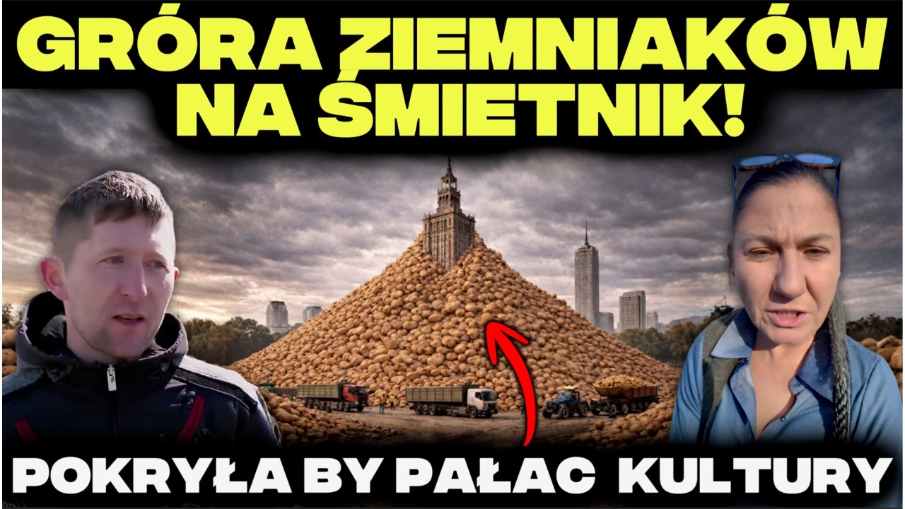 Ziemniaki z EGIPTU w SKLEPACH, a POLSKIE do KOSZA! - miliony ton do UTYLIZACJI